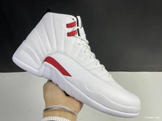 Twist Air Jordan 12 CT8013-106 0522